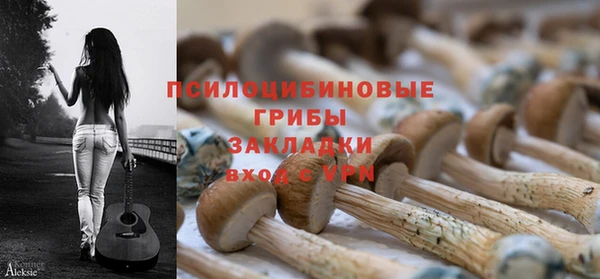 spice Арсеньев