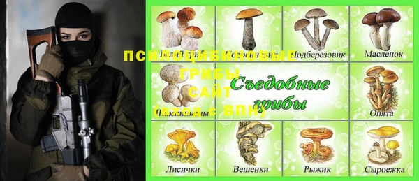 spice Арсеньев
